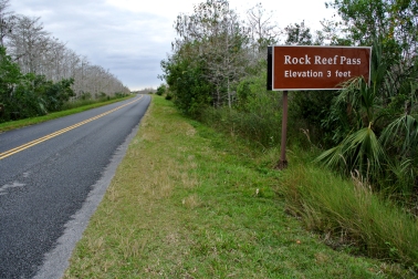 Route 9336 coupant les Everglades_usproject2016.com
